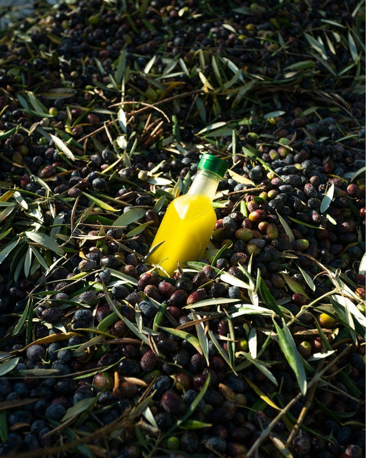 Botella de muestra de aceite de oliva virgen extra de nuestra almazara Aceites Aseal bajo un fondo de aceitunas cosechadas.