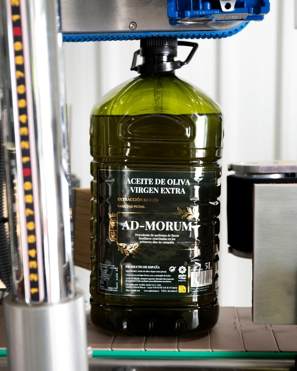 AOVE Picual 5L 25/2026 1 garrafa (5L)