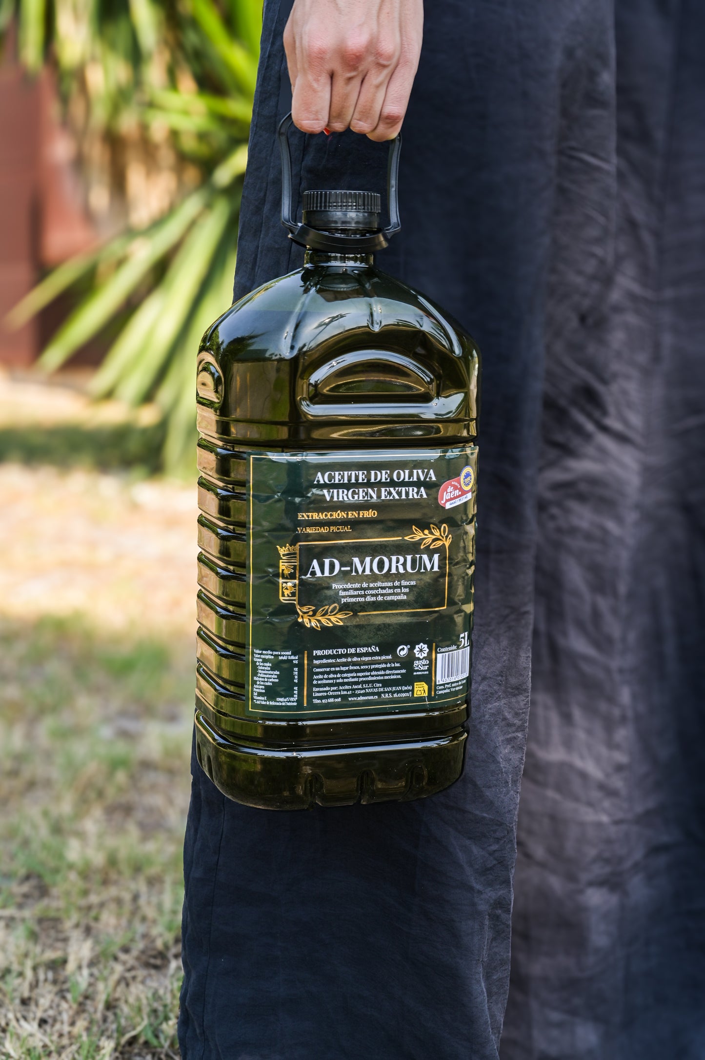 Garrafa aceite de oliva virgen extra Ad-Morum (AOVE) en un ambiente exterior.