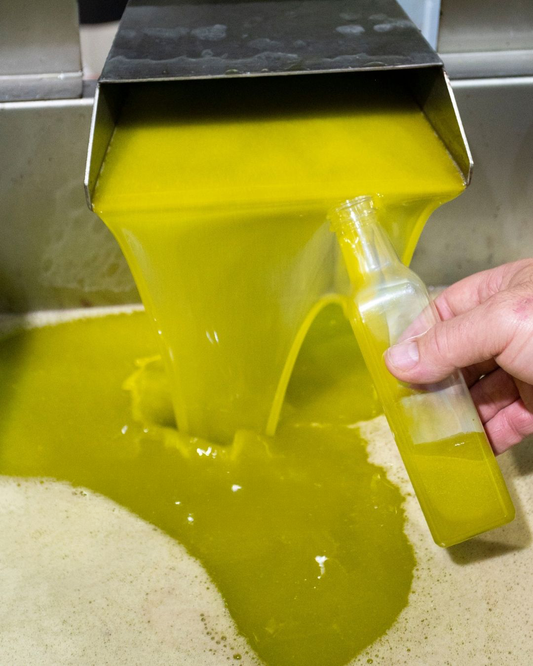 Día de Andalucía: el AOVE como símbolo de origen