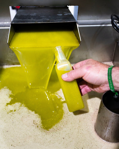 Aceite saliendo del proceso de elaboración en Aceites Aseal.