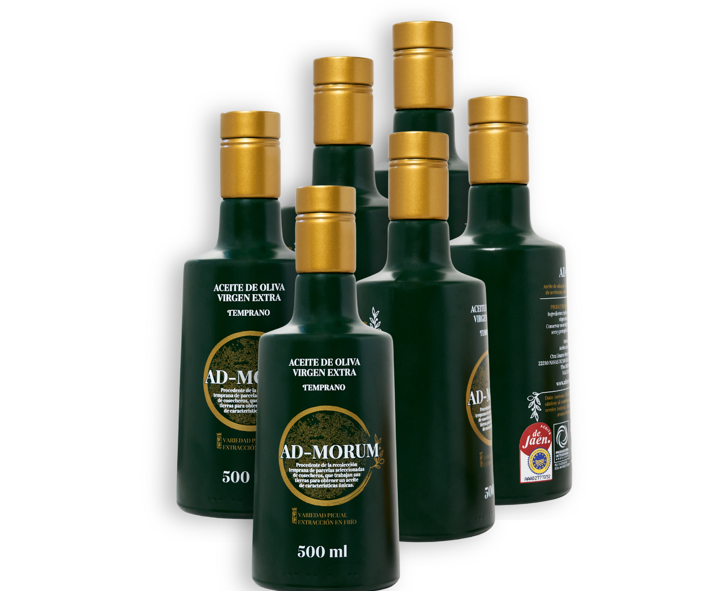 AOVE Temprano Picual 2025/2026 (500ml) PACKS